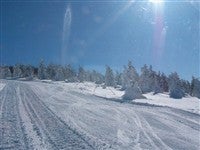 ■●夜発バス 菅平高原スノーリゾート【全山リフト券】 菅平イナリールホテル(2泊4日)2